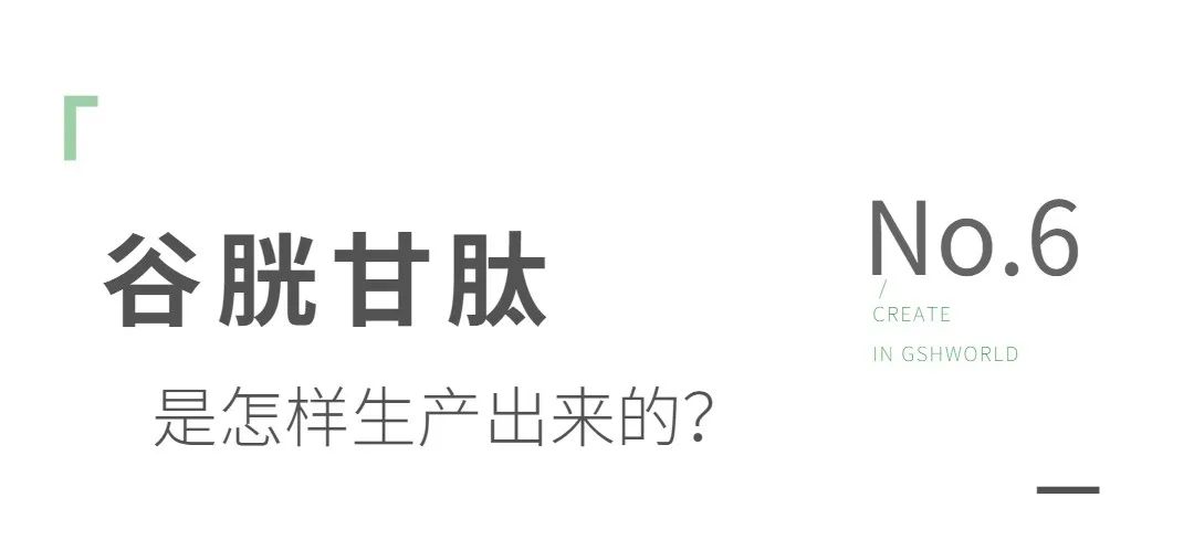 谷胱甘肽是如何生產(chǎn)的？