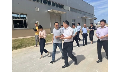 市委常委、副市長呂棟來公司調(diào)研