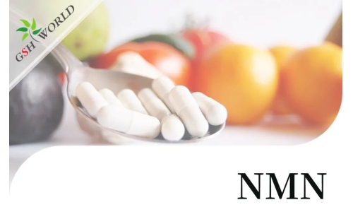行業(yè)關注 - NMN潛在的抗衰老活性及其適用性