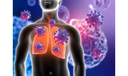 鐘南山：6月底將迎來二陽高峰！危害更大？NMN能有效抵御“二陽”！