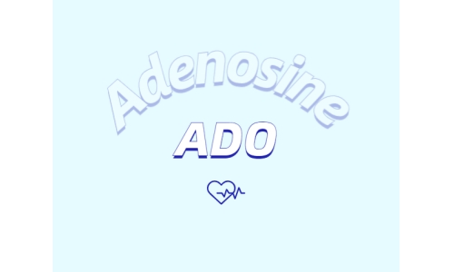 洗護用品中添加腺苷是否有防脫發(fā)功能？