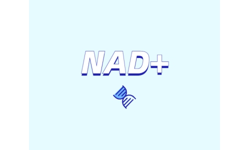 NAD與NMN的全新概念？